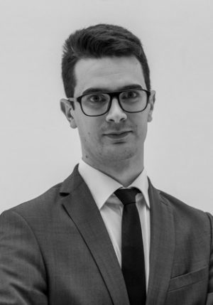 Victor Consultant Victor<br> Consultant