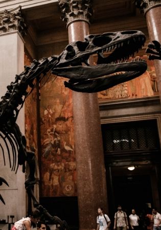 L’ESB, on prévient la WWF ? fin de l'ESB ?