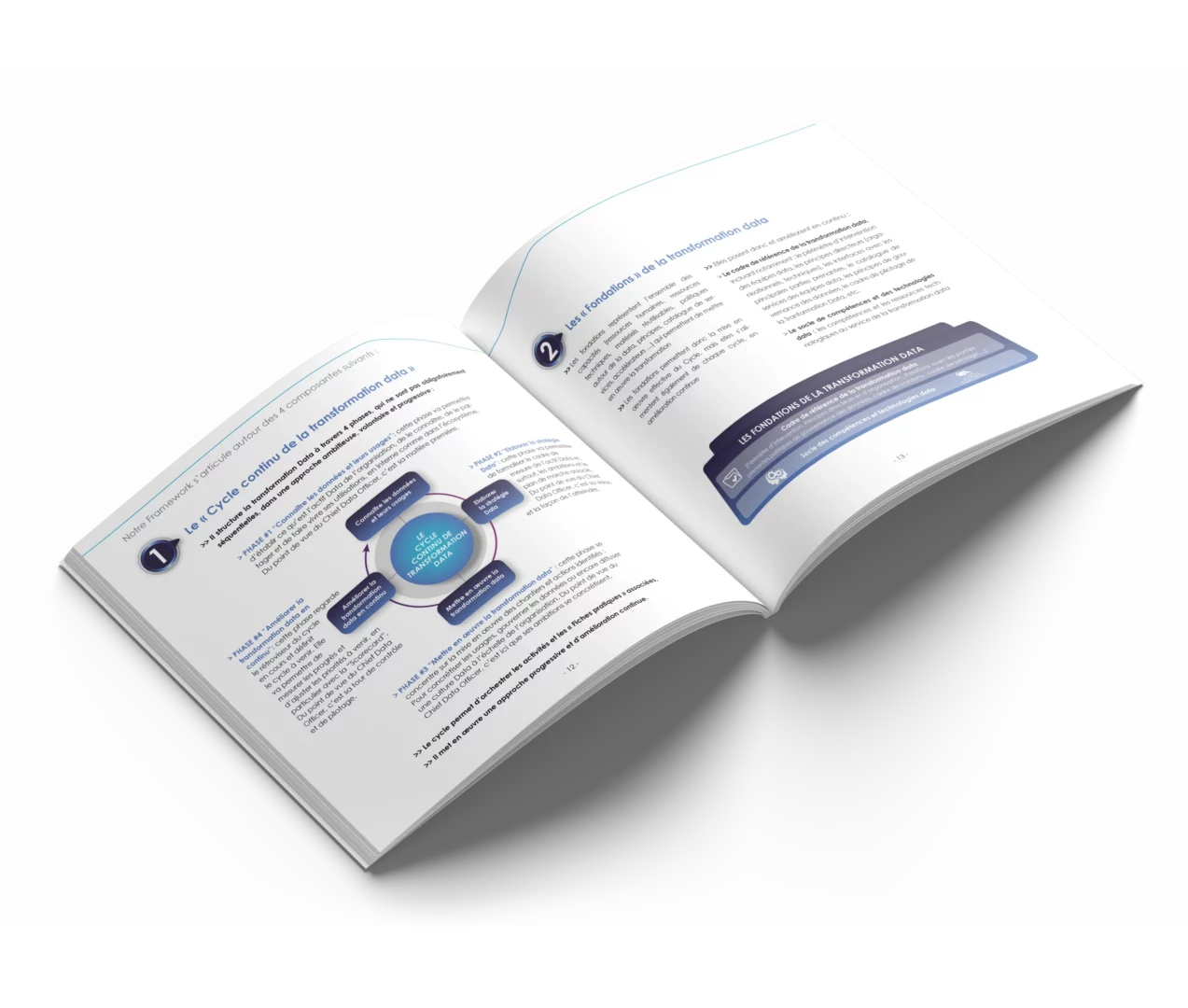 livre-blanc-télécharger